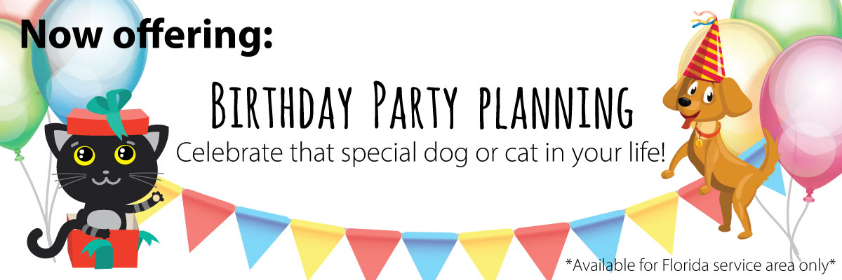Pet sitter Florida, offering birthday parties for your cat or dog.